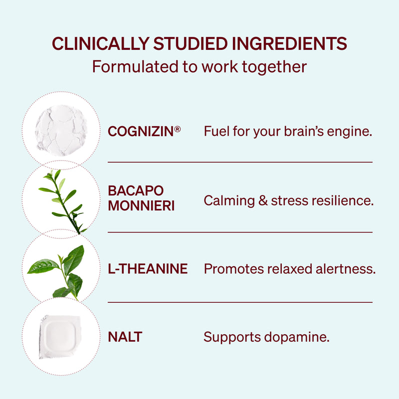 Staje Clarity supplement capsules for brain fog, mood and focus