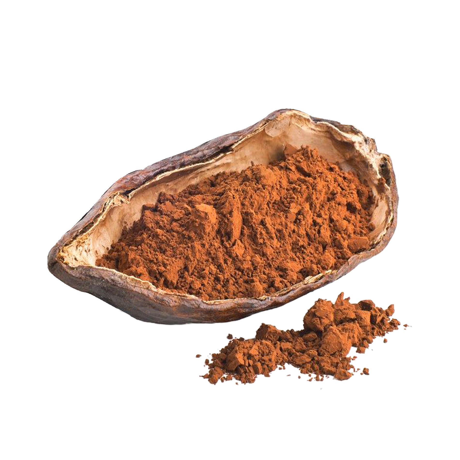 Cocoa powder in a split cocoa bean on a white background